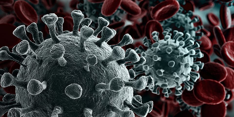 Zentrum Gender Studies – Betrieb unter Corona Bild Corona Virus