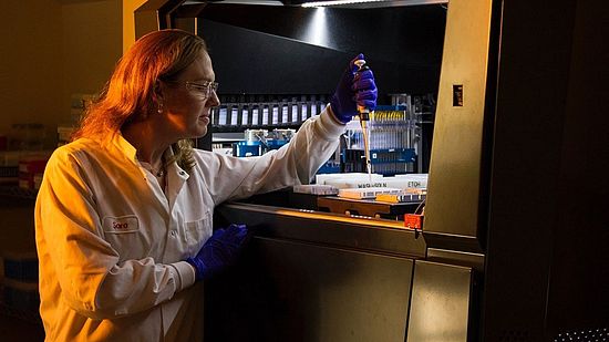 Gender Equality Measures in Academia